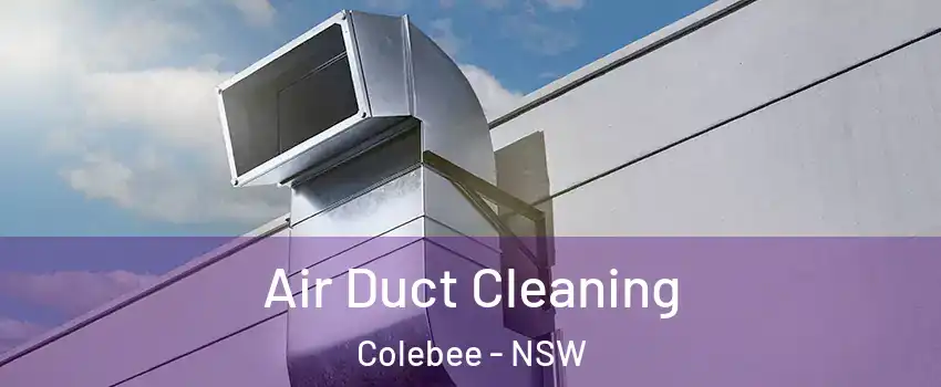Air Duct Cleaning Colebee - NSW