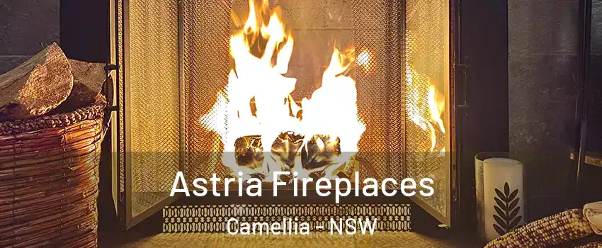 Astria Fireplaces Camellia - NSW