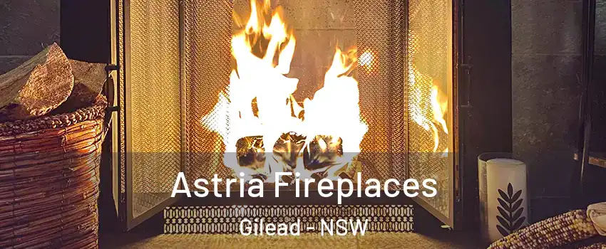 Astria Fireplaces Gilead - NSW