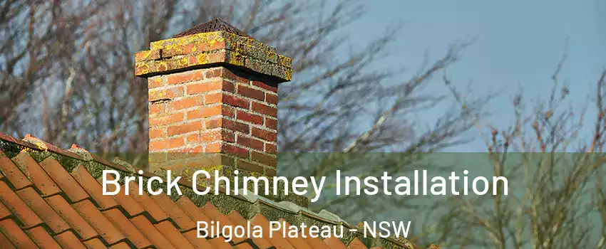 Brick Chimney Installation Bilgola Plateau - NSW