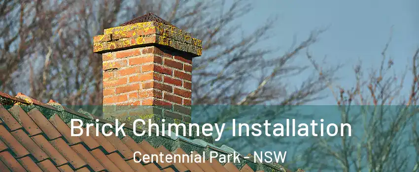 Brick Chimney Installation Centennial Park - NSW