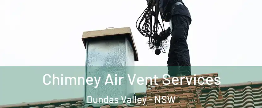 Chimney Air Vent Services Dundas Valley - NSW