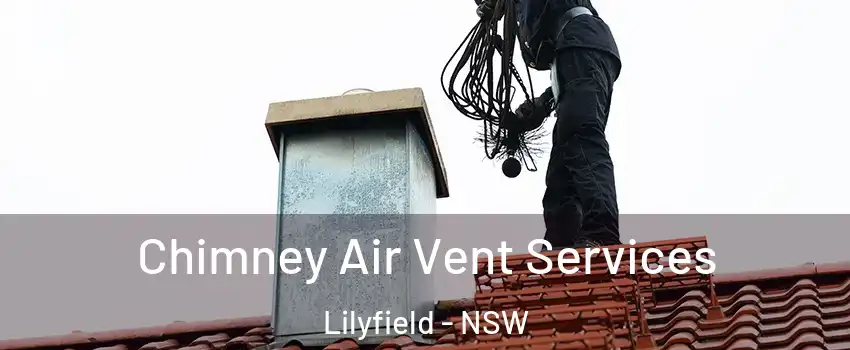 Chimney Air Vent Services Lilyfield - NSW