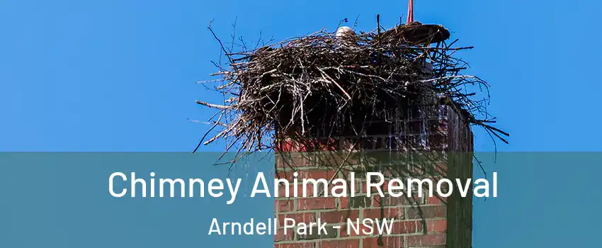 Chimney Animal Removal Arndell Park - NSW