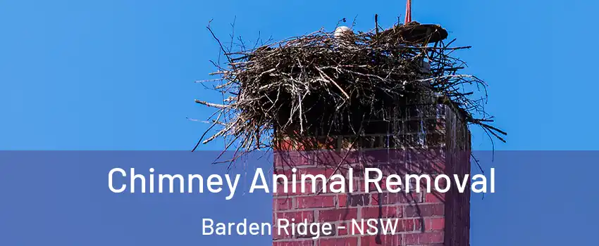  Chimney Animal Removal Barden Ridge - NSW