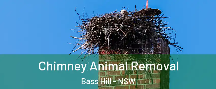 Chimney Animal Removal Bass Hill - NSW