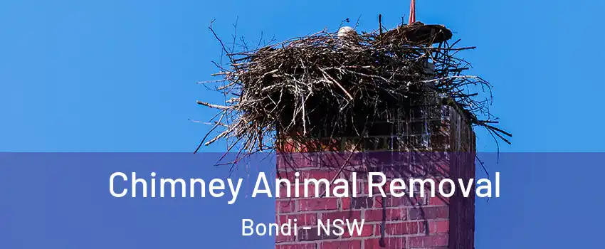 Chimney Animal Removal Bondi - NSW