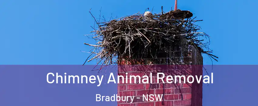 Chimney Animal Removal Bradbury - NSW