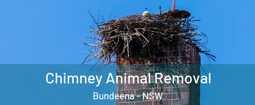 Chimney Animal Removal Bundeena - NSW