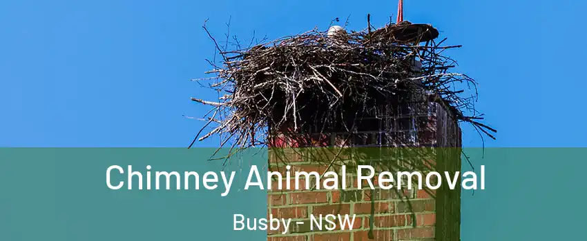 Chimney Animal Removal Busby - NSW