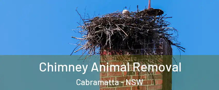 Chimney Animal Removal Cabramatta - NSW