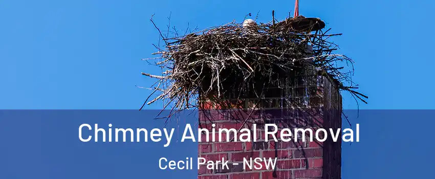 Chimney Animal Removal Cecil Park - NSW