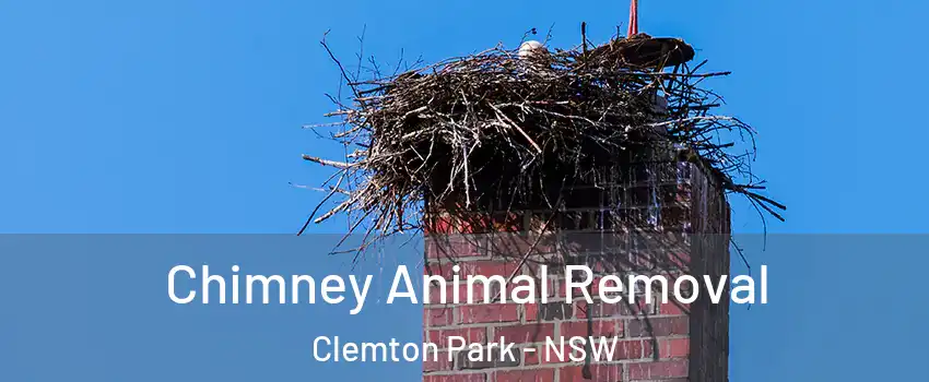 Chimney Animal Removal Clemton Park - NSW