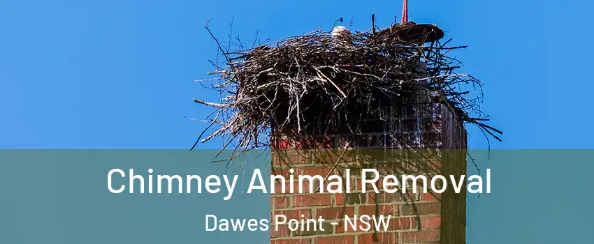 Chimney Animal Removal Dawes Point - NSW