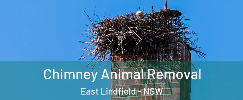 Chimney Animal Removal East Lindfield - NSW