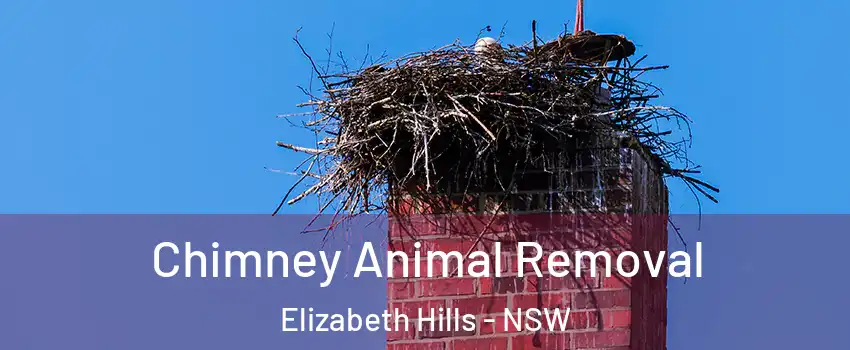 Chimney Animal Removal Elizabeth Hills - NSW