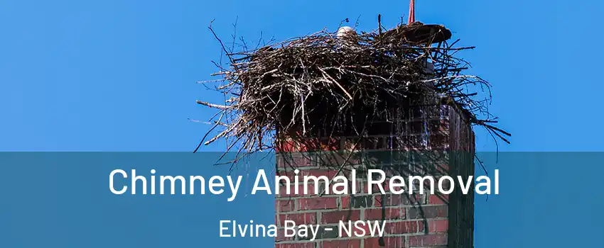 Chimney Animal Removal Elvina Bay - NSW