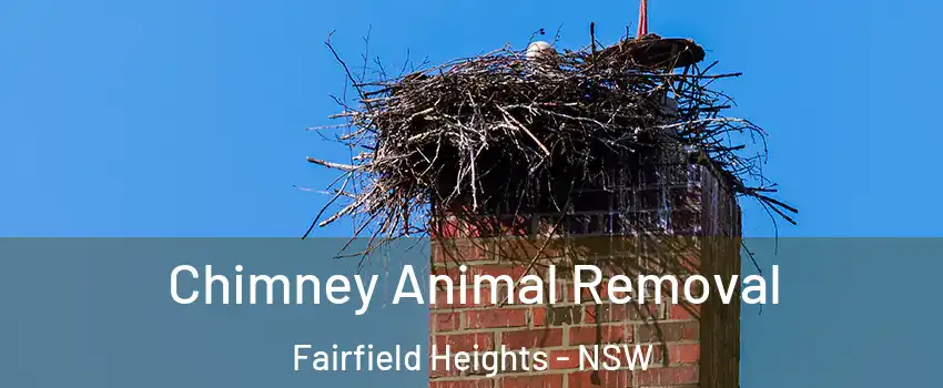 Chimney Animal Removal Fairfield Heights - NSW