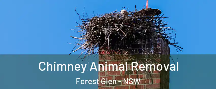 Chimney Animal Removal Forest Glen - NSW