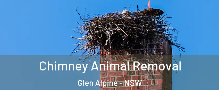 Chimney Animal Removal Glen Alpine - NSW