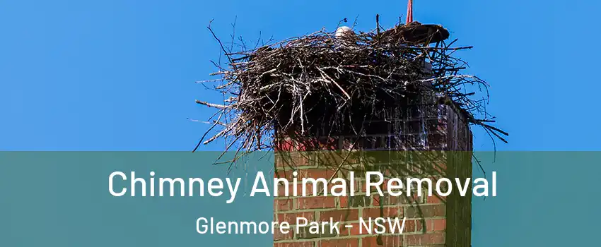 Chimney Animal Removal Glenmore Park - NSW