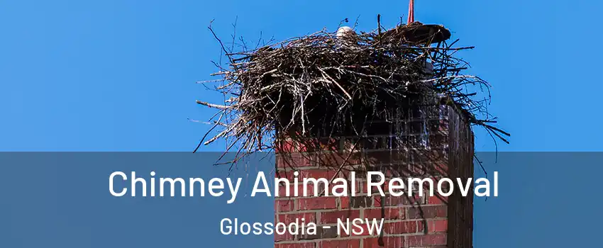 Chimney Animal Removal Glossodia - NSW