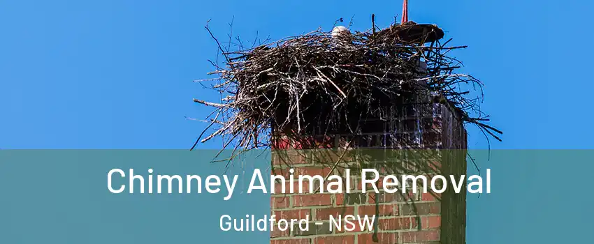 Chimney Animal Removal Guildford - NSW
