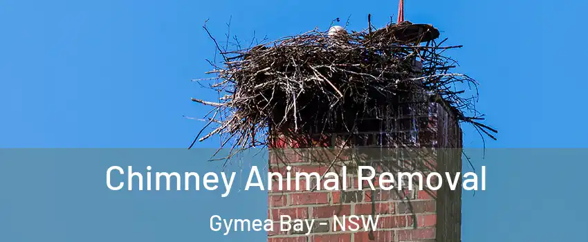 Chimney Animal Removal Gymea Bay - NSW
