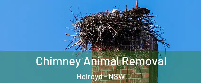 Chimney Animal Removal Holroyd - NSW
