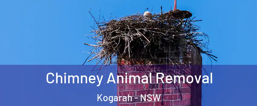 Chimney Animal Removal Kogarah - NSW
