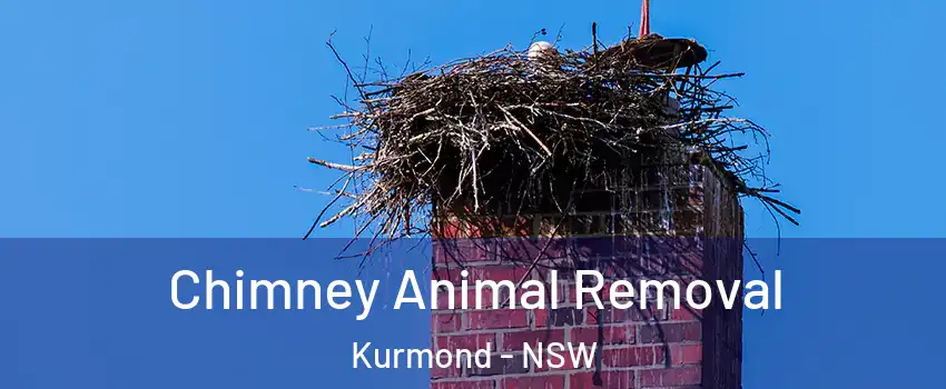 Chimney Animal Removal Kurmond - NSW