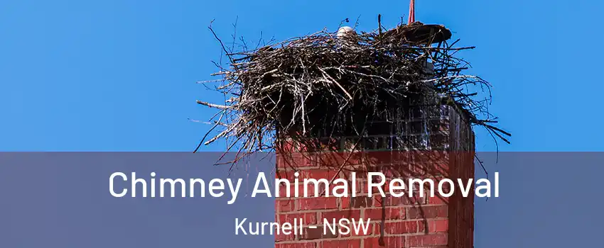 Chimney Animal Removal Kurnell - NSW