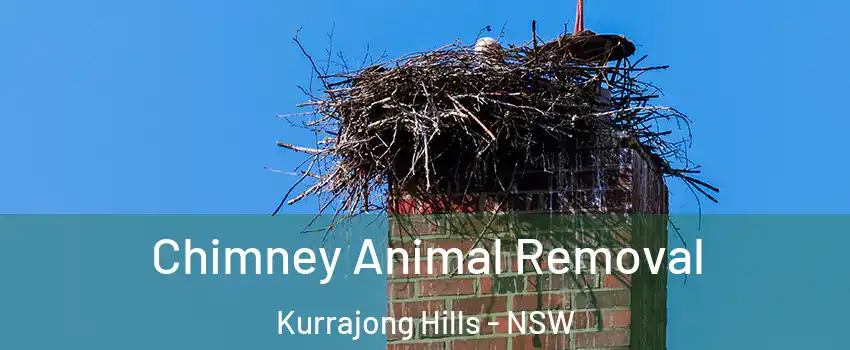 Chimney Animal Removal Kurrajong Hills - NSW