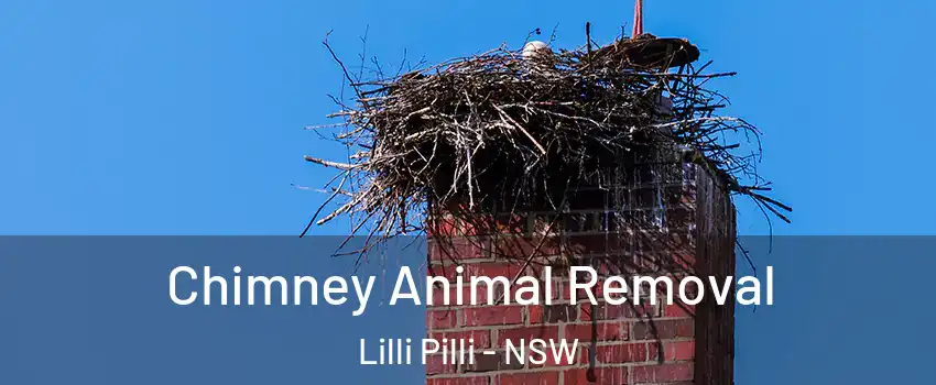Chimney Animal Removal Lilli Pilli - NSW