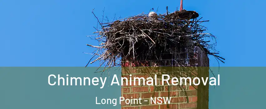 Chimney Animal Removal Long Point - NSW