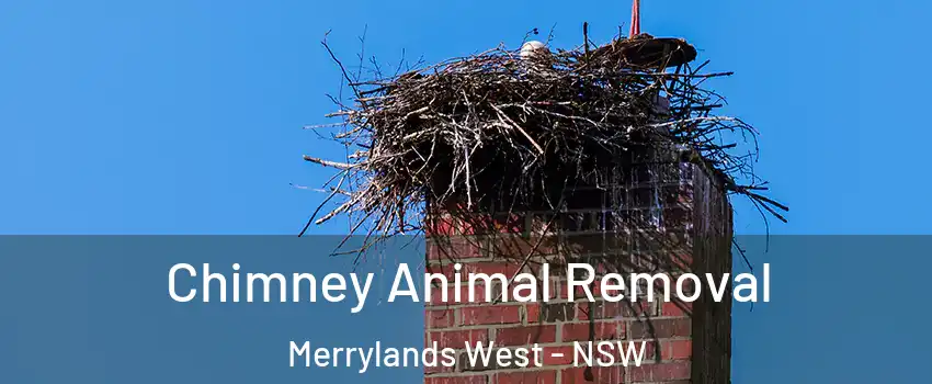 Chimney Animal Removal Merrylands West - NSW