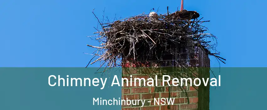 Chimney Animal Removal Minchinbury - NSW