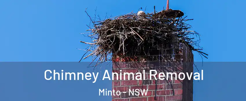 Chimney Animal Removal Minto - NSW