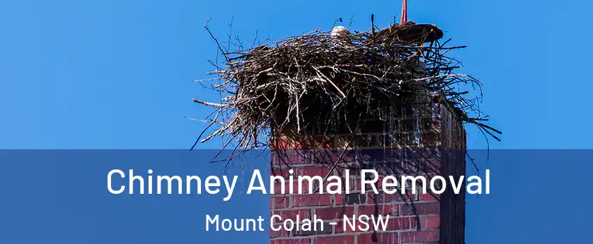 Chimney Animal Removal Mount Colah - NSW