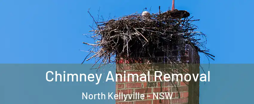 Chimney Animal Removal North Kellyville - NSW