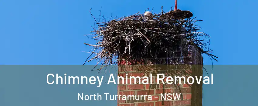 Chimney Animal Removal North Turramurra - NSW