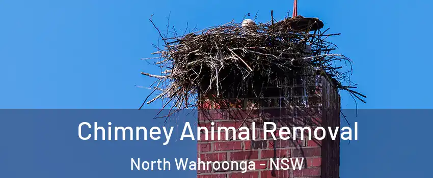 Chimney Animal Removal North Wahroonga - NSW
