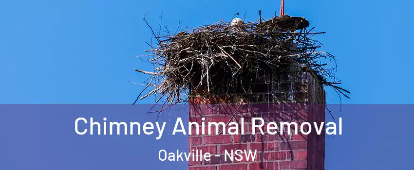 Chimney Animal Removal Oakville - NSW
