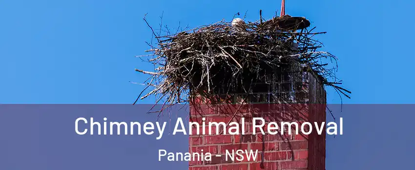  Chimney Animal Removal Panania - NSW