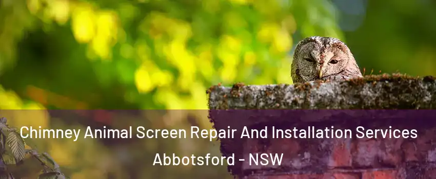 Chimney Animal Screen Repair And Installation Services Abbotsford - NSW