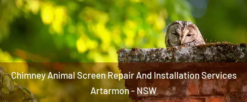 Chimney Animal Screen Repair And Installation Services Artarmon - NSW