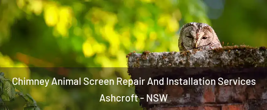 Chimney Animal Screen Repair And Installation Services Ashcroft - NSW