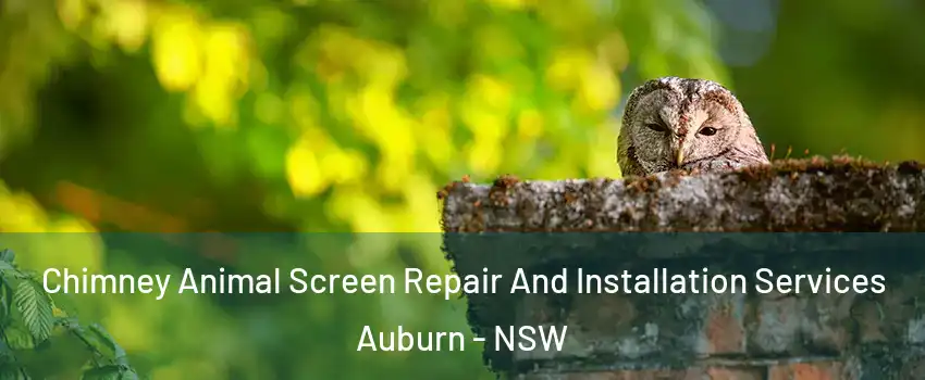 Chimney Animal Screen Repair And Installation Services Auburn - NSW