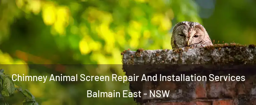 Chimney Animal Screen Repair And Installation Services Balmain East - NSW