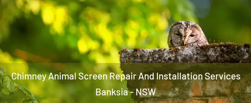 Chimney Animal Screen Repair And Installation Services Banksia - NSW